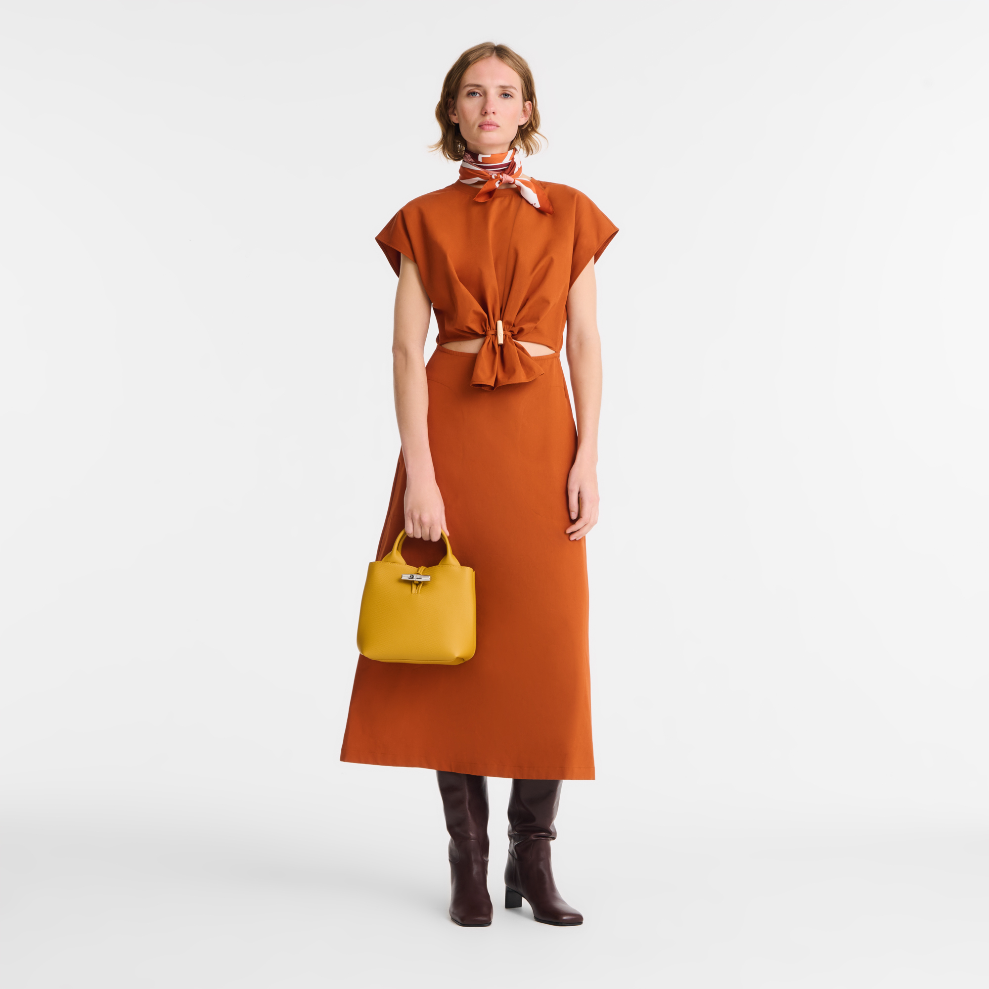 Longchamp Le Roseau S Handbag Nutmeg