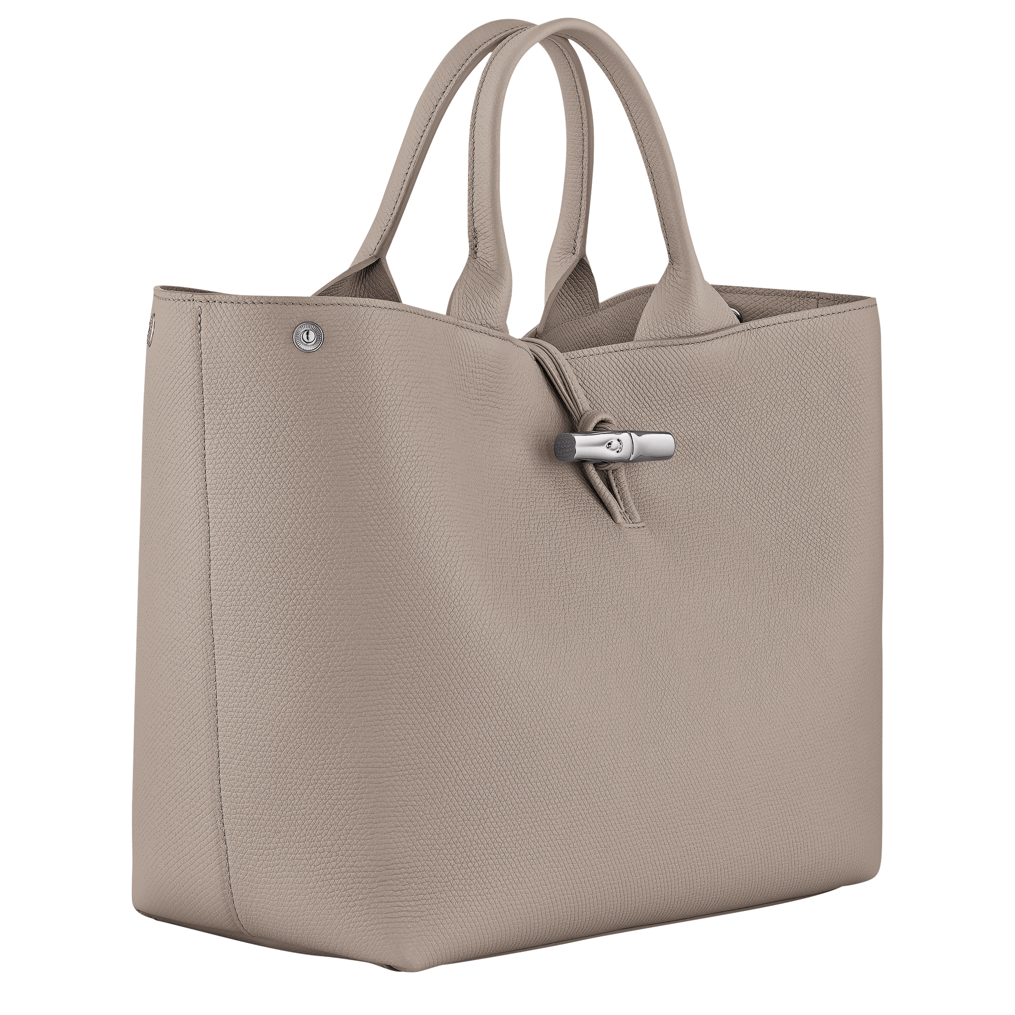 Longchamp Le Roseau L Handbag Clay