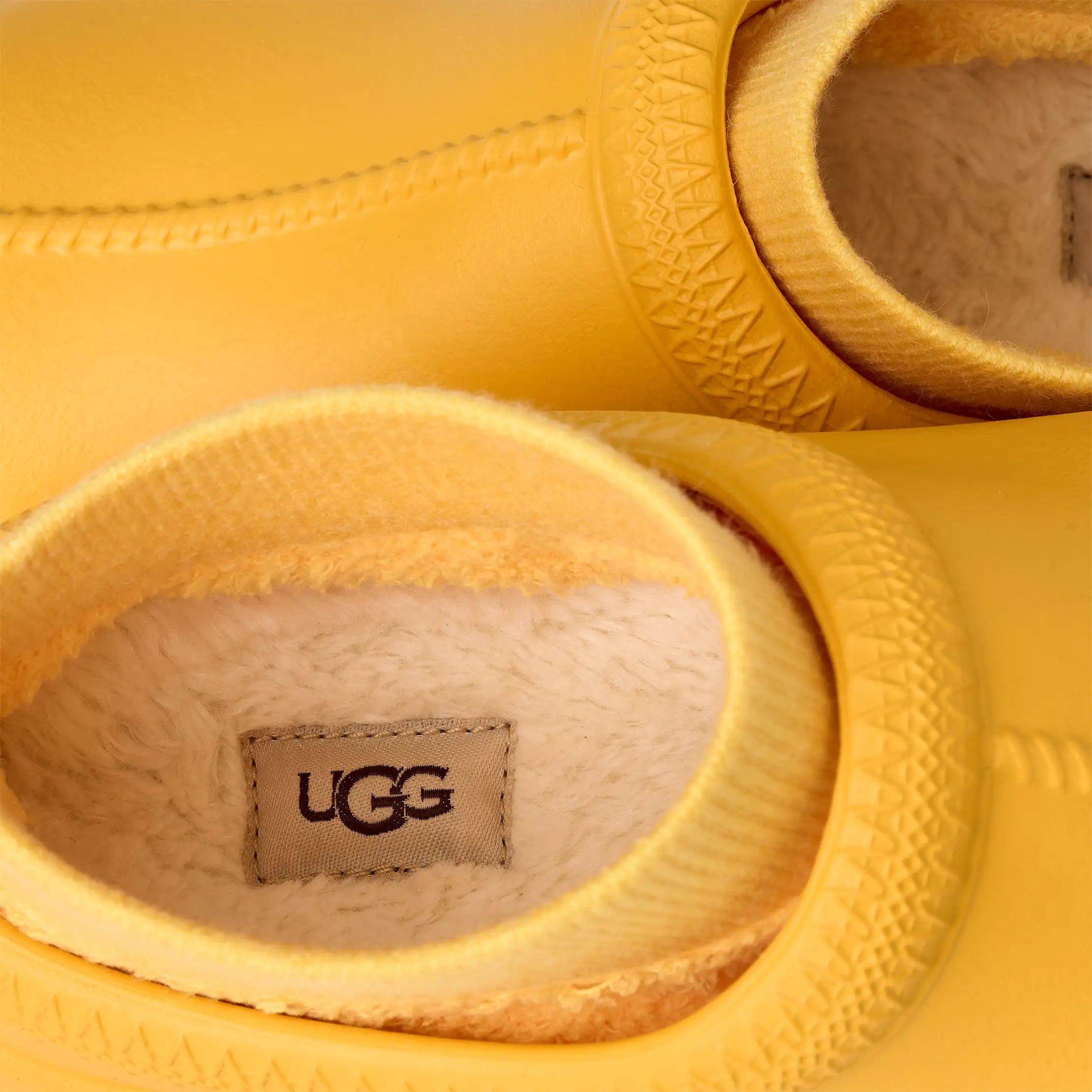 Ugg Tasman X Summer Wheat