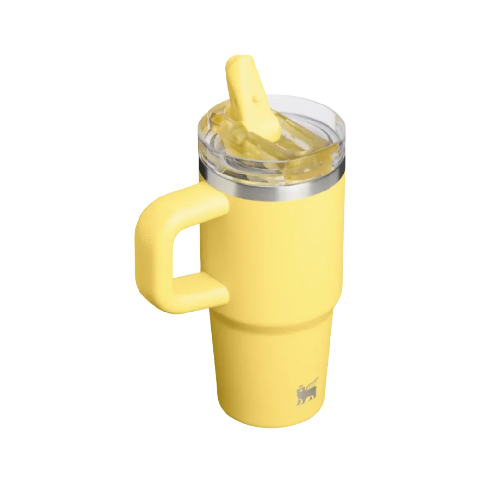 Stanley Quencher ProTour Flip Straw Tumbler 14 OZ Daffodil