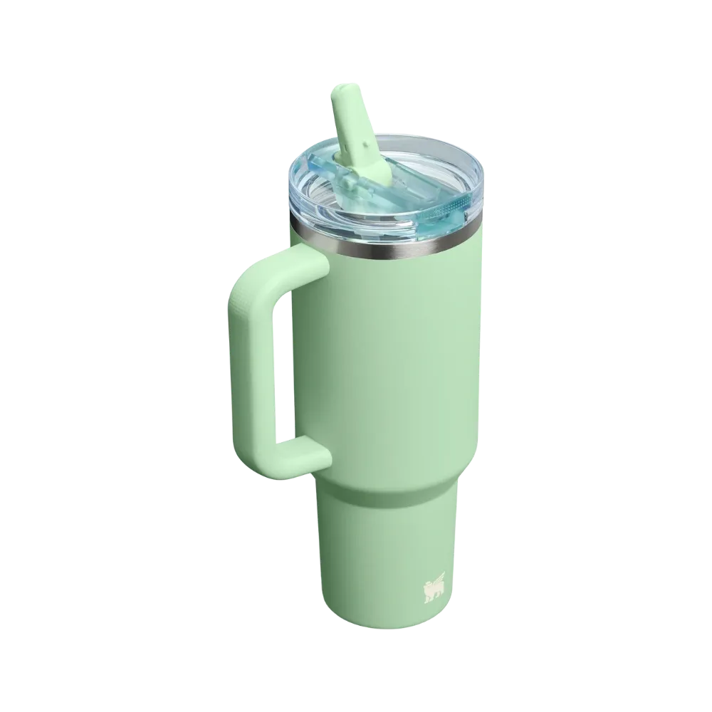 Stanley Quencher Protour Flip Straw Tumbler Pistachio