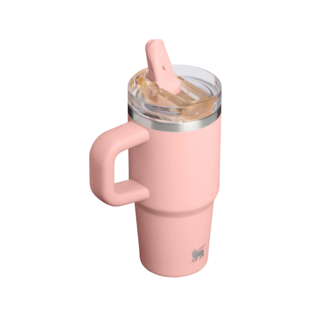 Stanley Quencher ProTour Flip Straw Tumbler 14 OZ Peach Rose