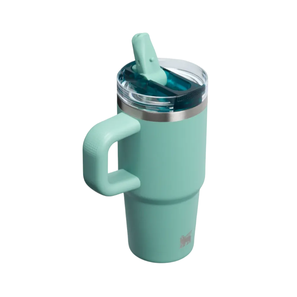 Stanley Quencher ProTour Flip Straw Tumbler 14 OZ Spring Green