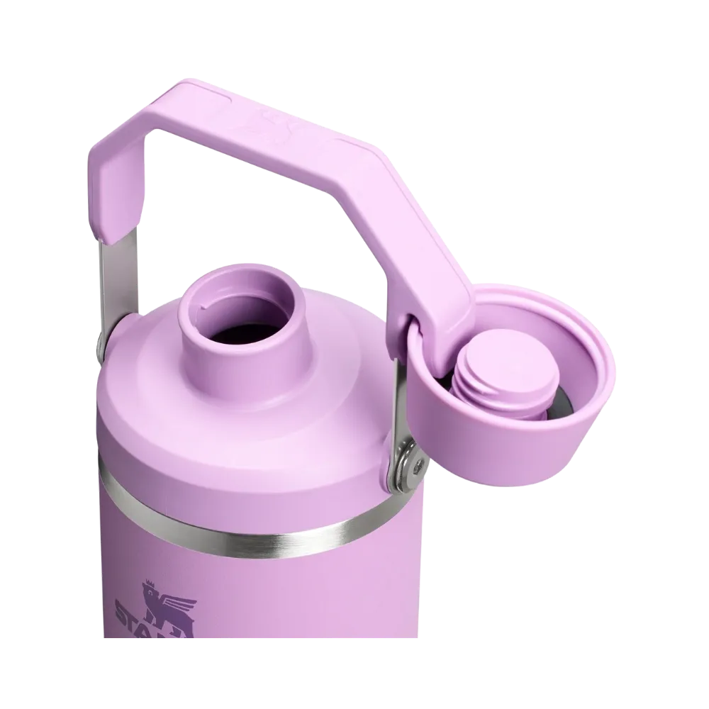 Stanley IceFlow Tumbler with Fast Flow Lid (30OZ) Lilac