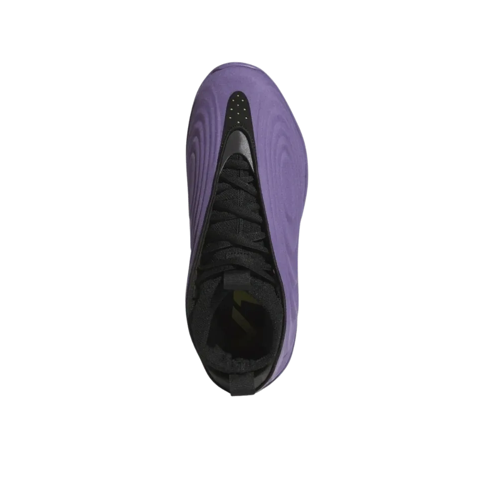 Adidas Harden Vol. 10 'Matte Purple'