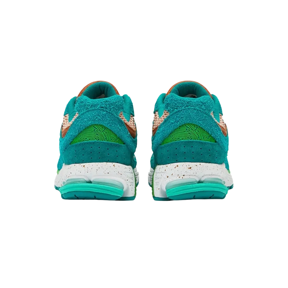 Salehe Bembury x New Balance 2002R 'Water Be The Guide'