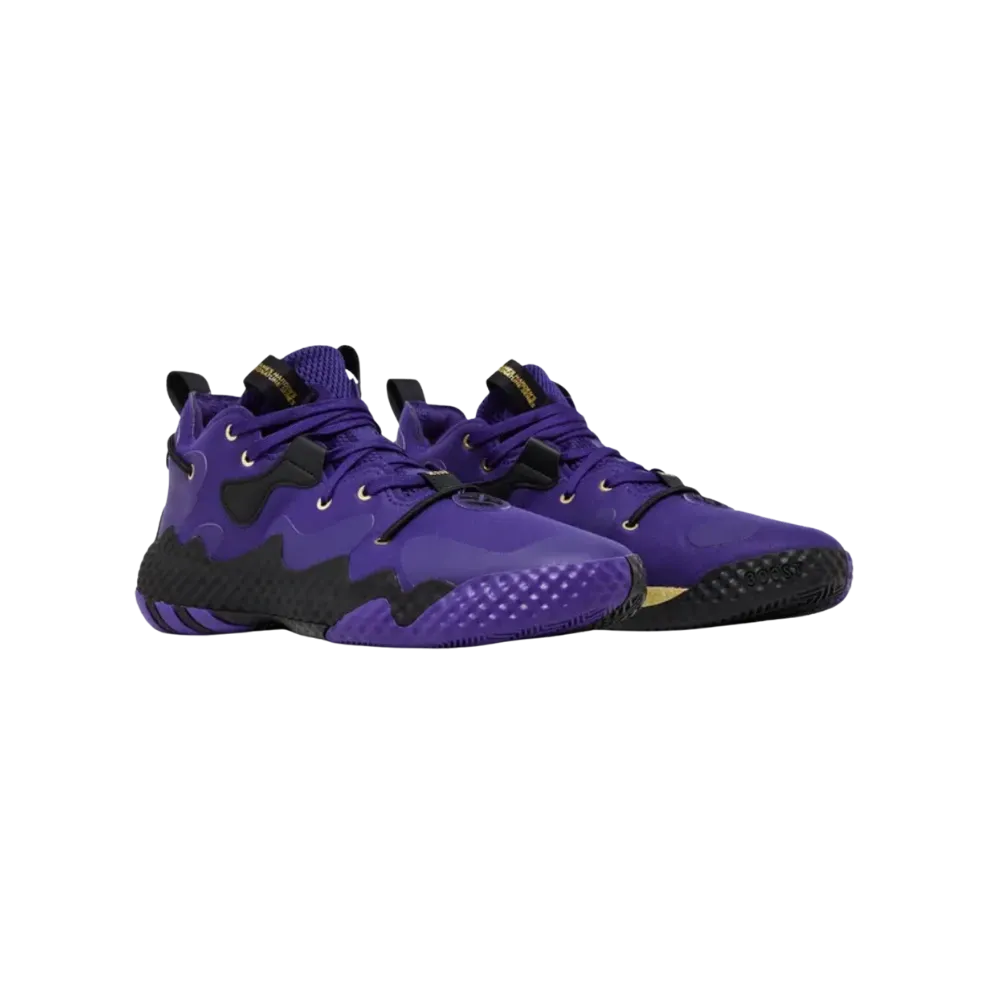 Adidas Harden Vol. 6 'Team College Purple'