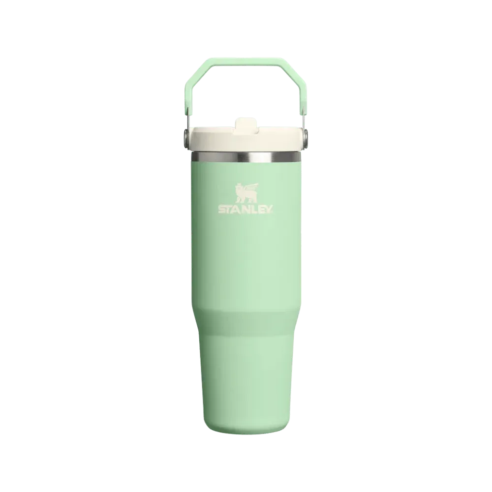 Stanley Flip Straw Iceflow Tumbler Pistachio