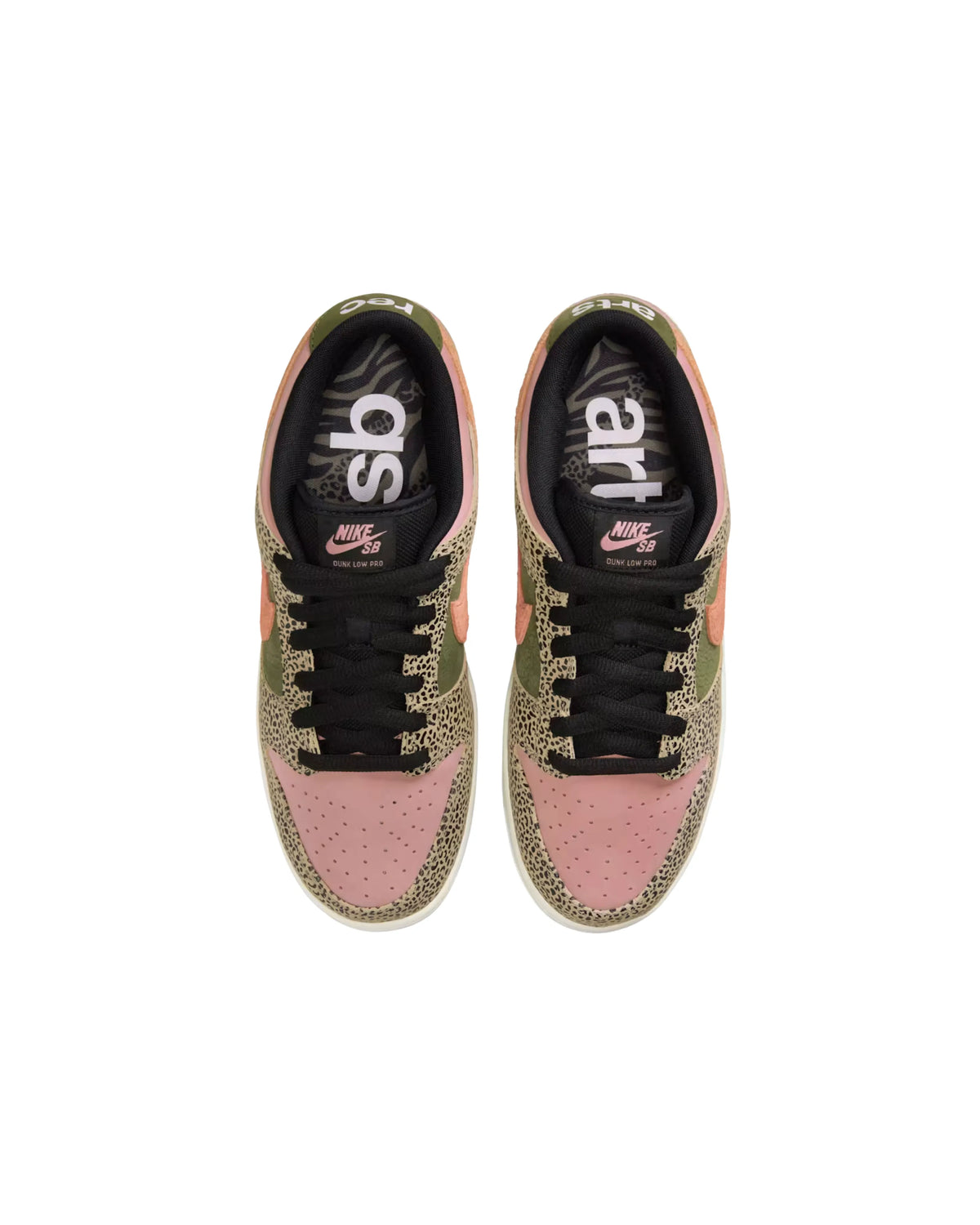 Nike Arts-Rec x Dunk Low SB 'For Recreational Use'