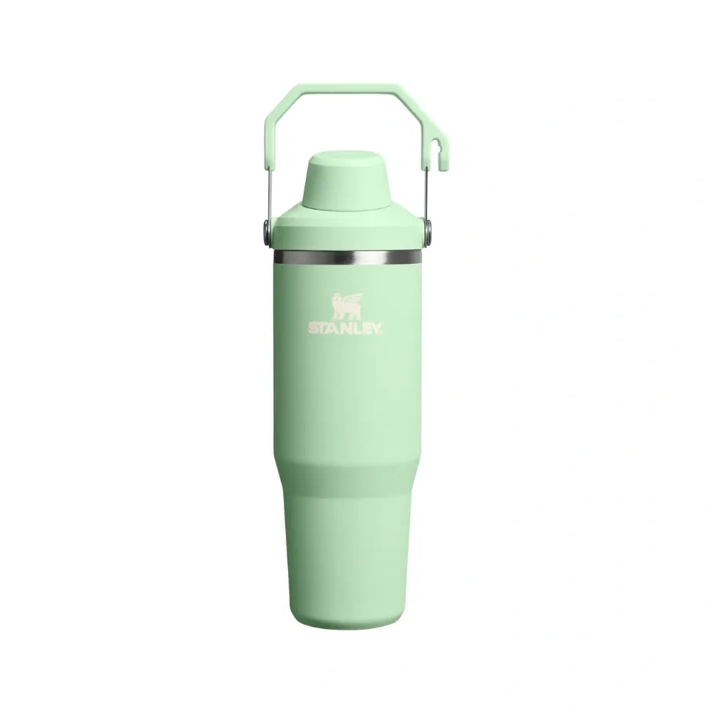 Stanley IceFlow Tumbler with Fast Flow Lid (30OZ) Pistachio