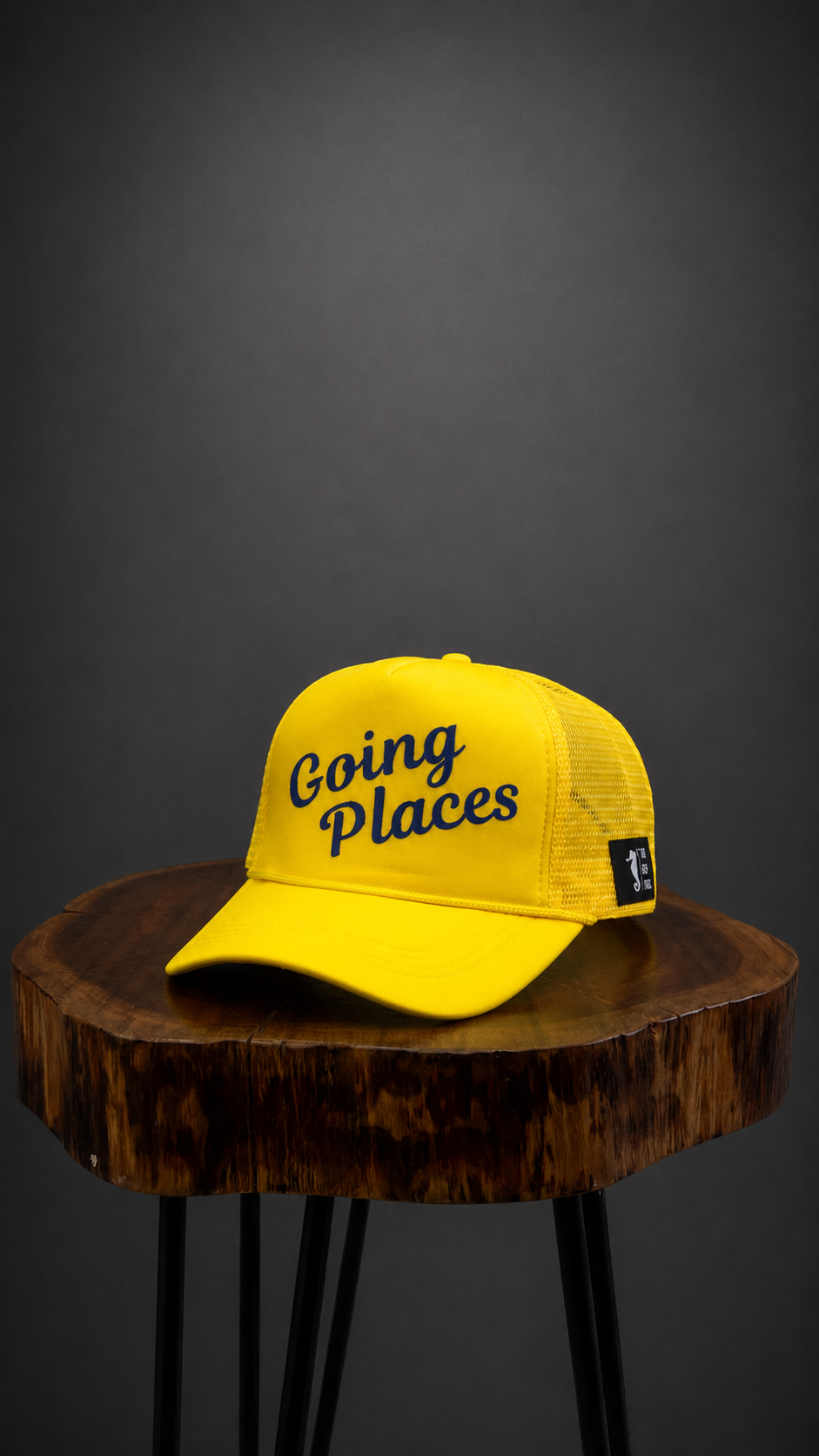THE SEA HORSE Going Places - Mesh Trucker Cap – view 4