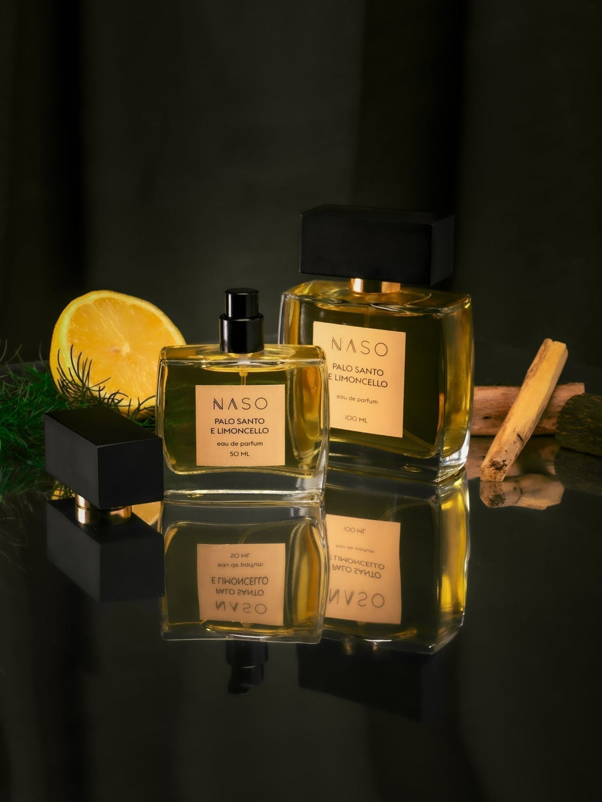 NASO PALO SANTO – view 2