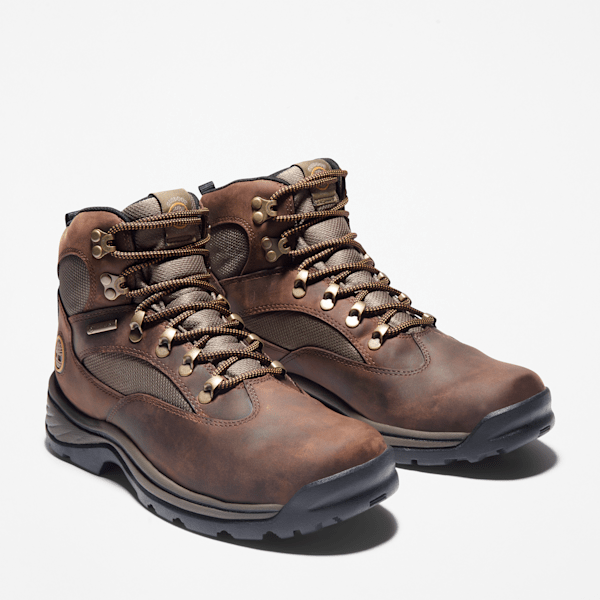 Timberland Chocorua Waterproof Hiking Boot Medium Brown Men'S