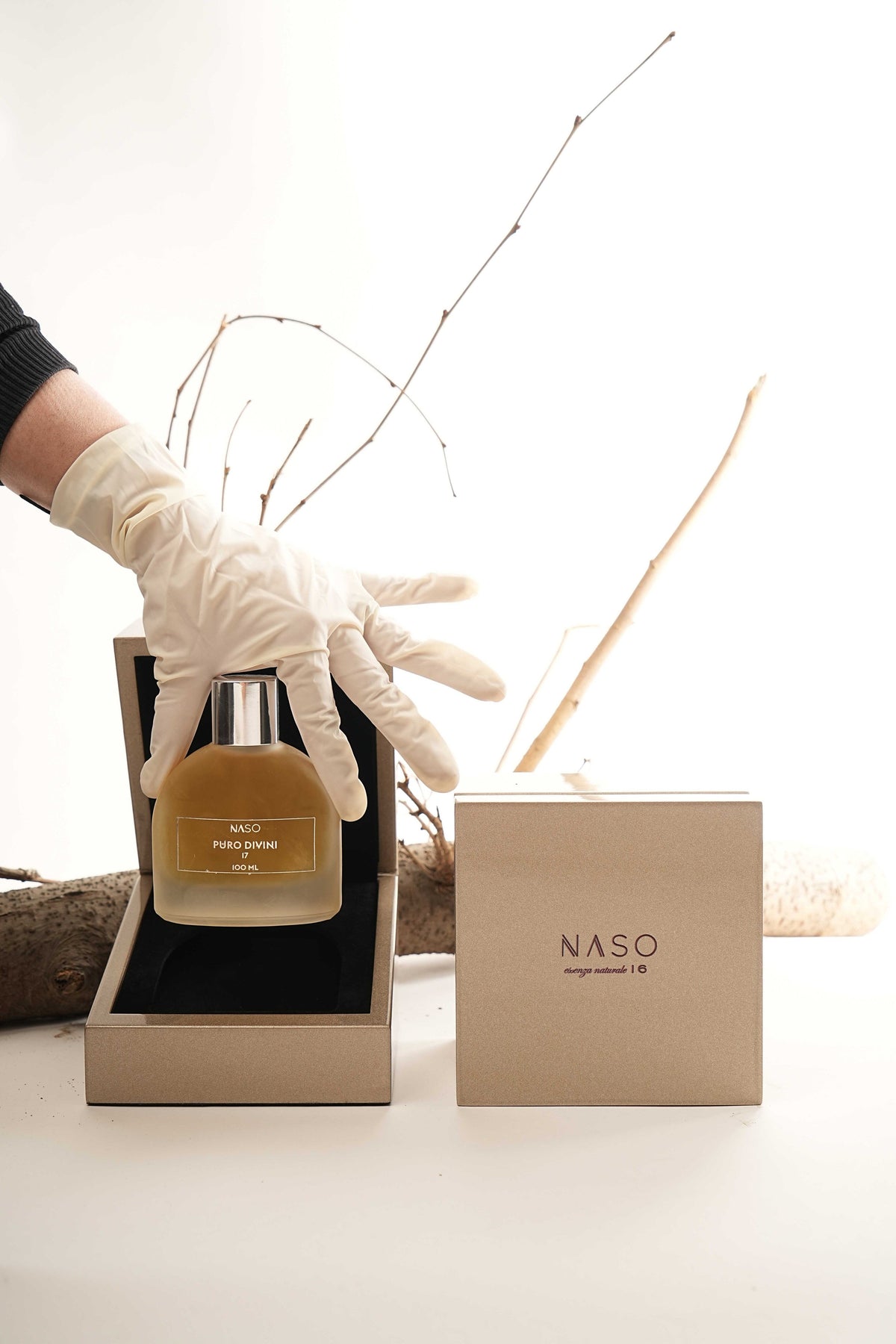 NASO PURO DIVINI – view 3