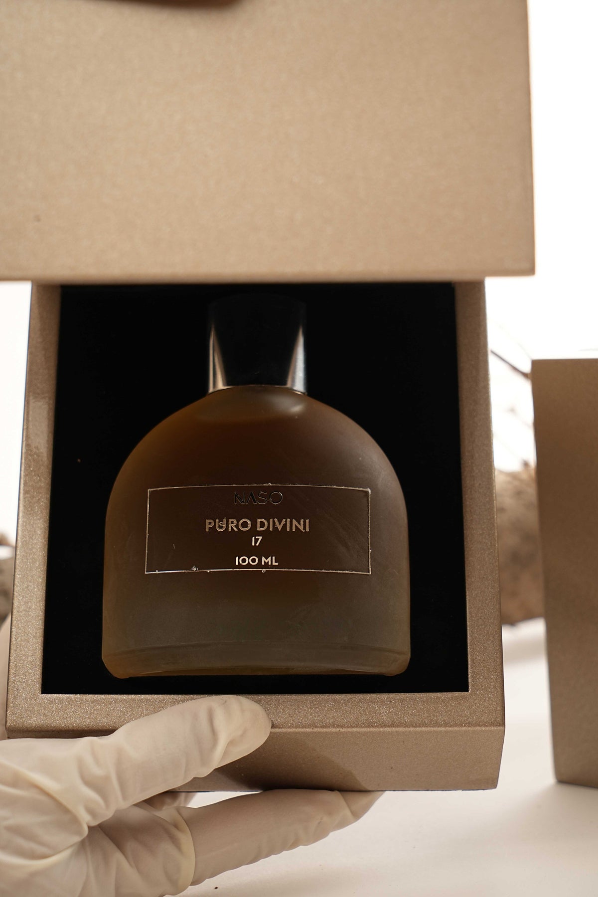 NASO PURO DIVINI – view 4