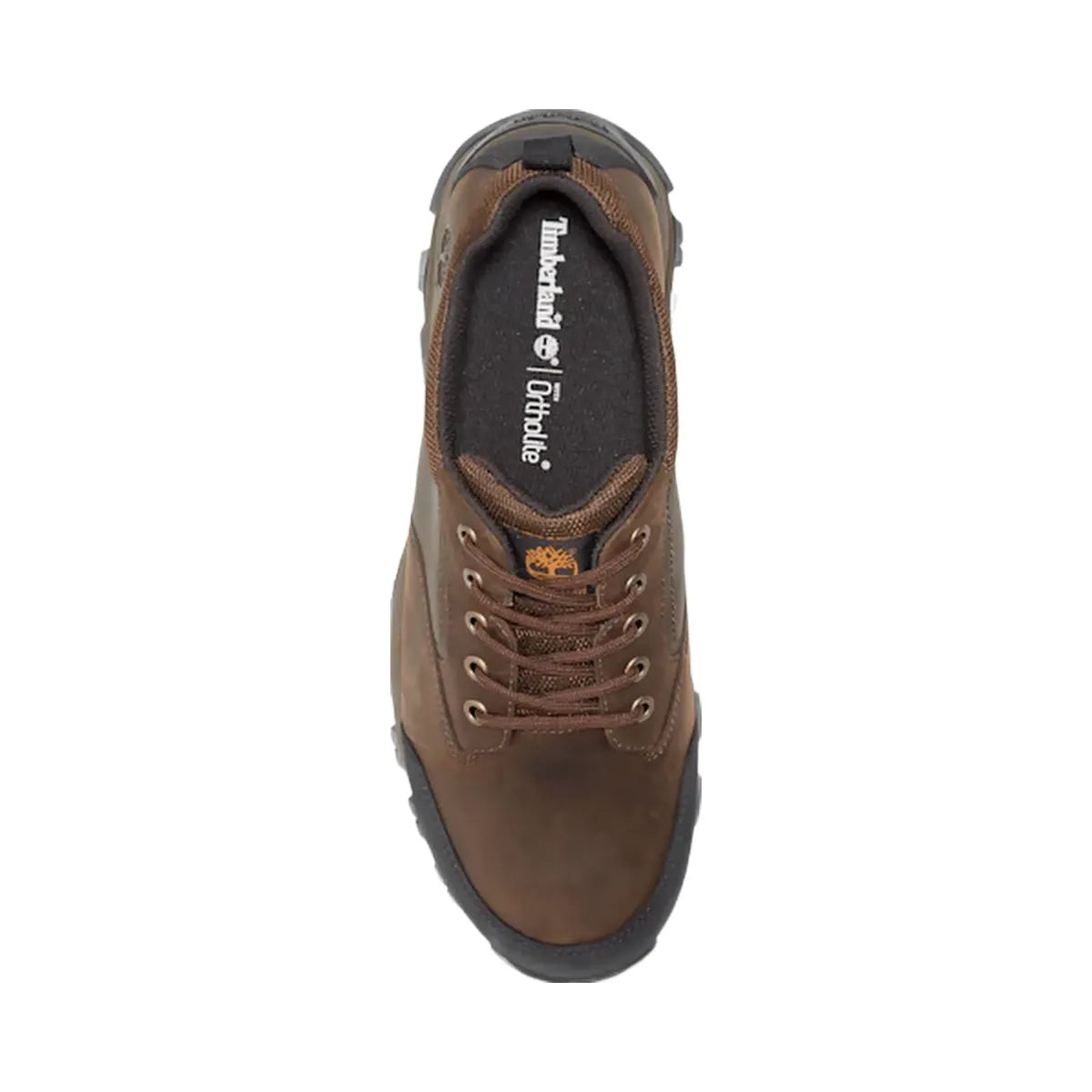 Timberland Mt Maddsen Waterproof Low Hiker Boot Brown Men'S
