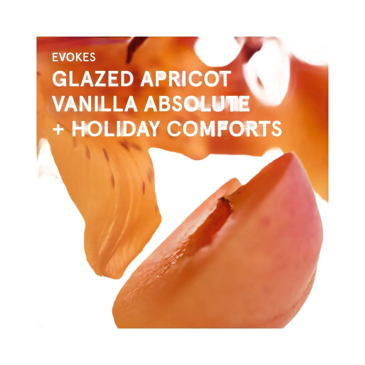 Glossier Lilyhaze Body Fragrance Mist
