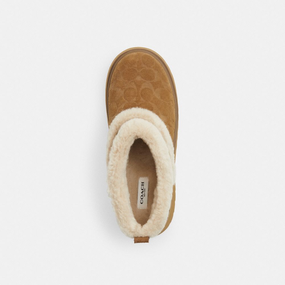 Women's Coach Christina Bootie In Signature Suede Tobacco