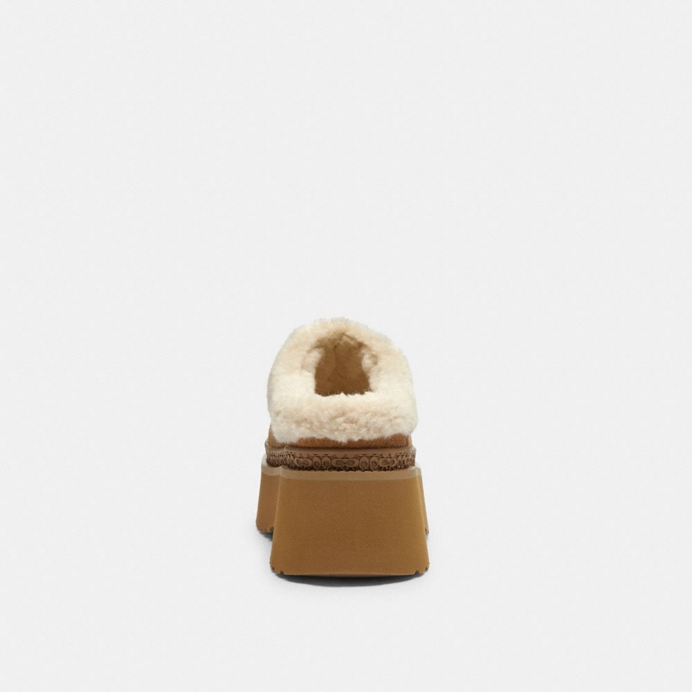 Women's Coach Cecelia Clog In Signature Suede Tobacco