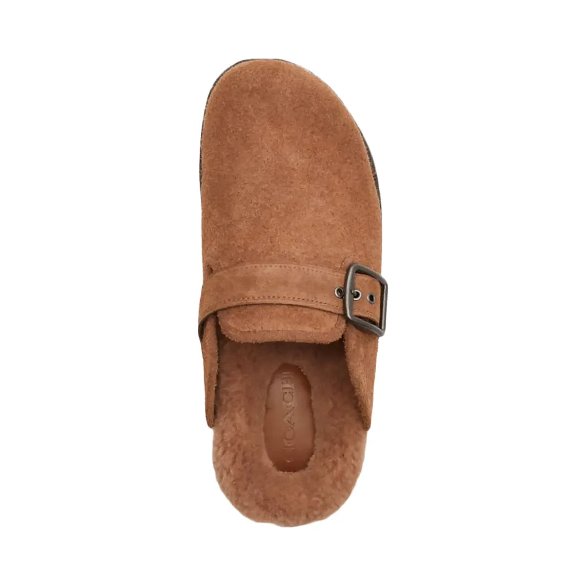 Coach Men's Buckle Clog Sable