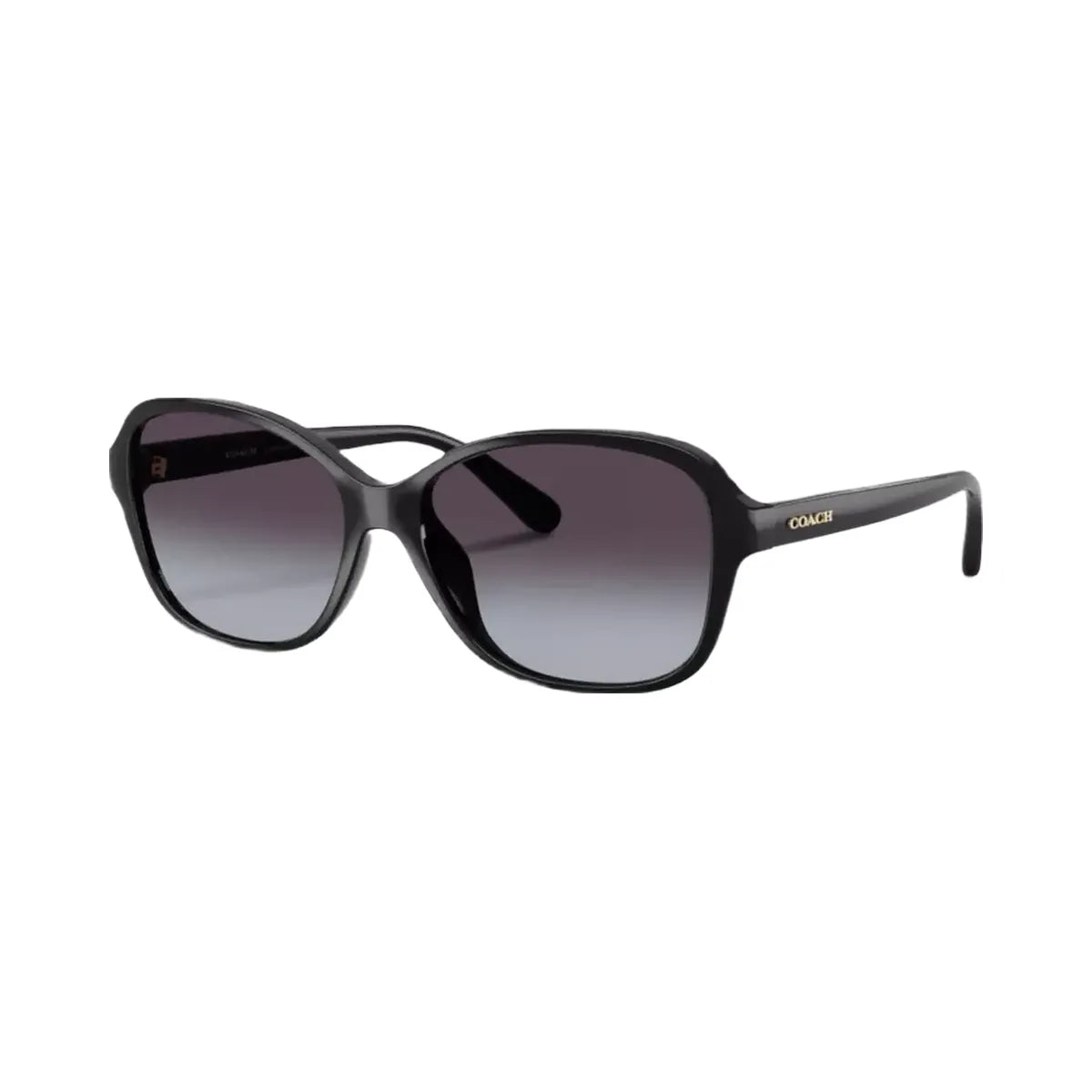 Coach Oversized Oval Sunglasses in Black