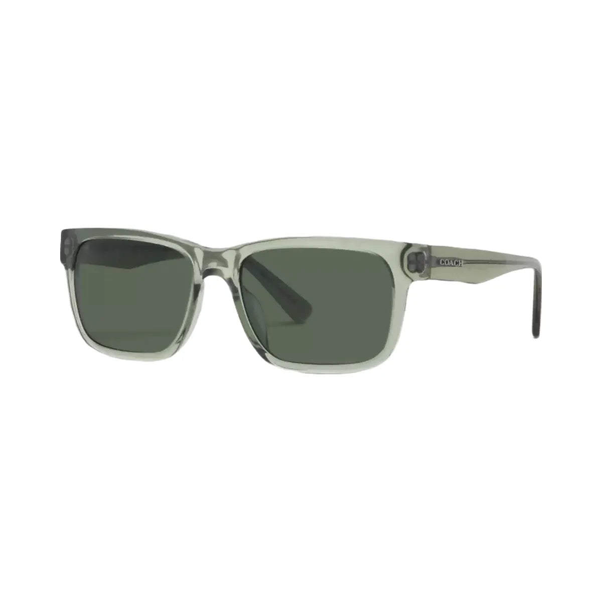 Coach Square Frame Sunglasses in Transparent Green