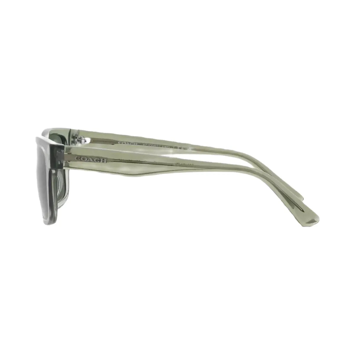 Coach Square Frame Sunglasses in Transparent Green