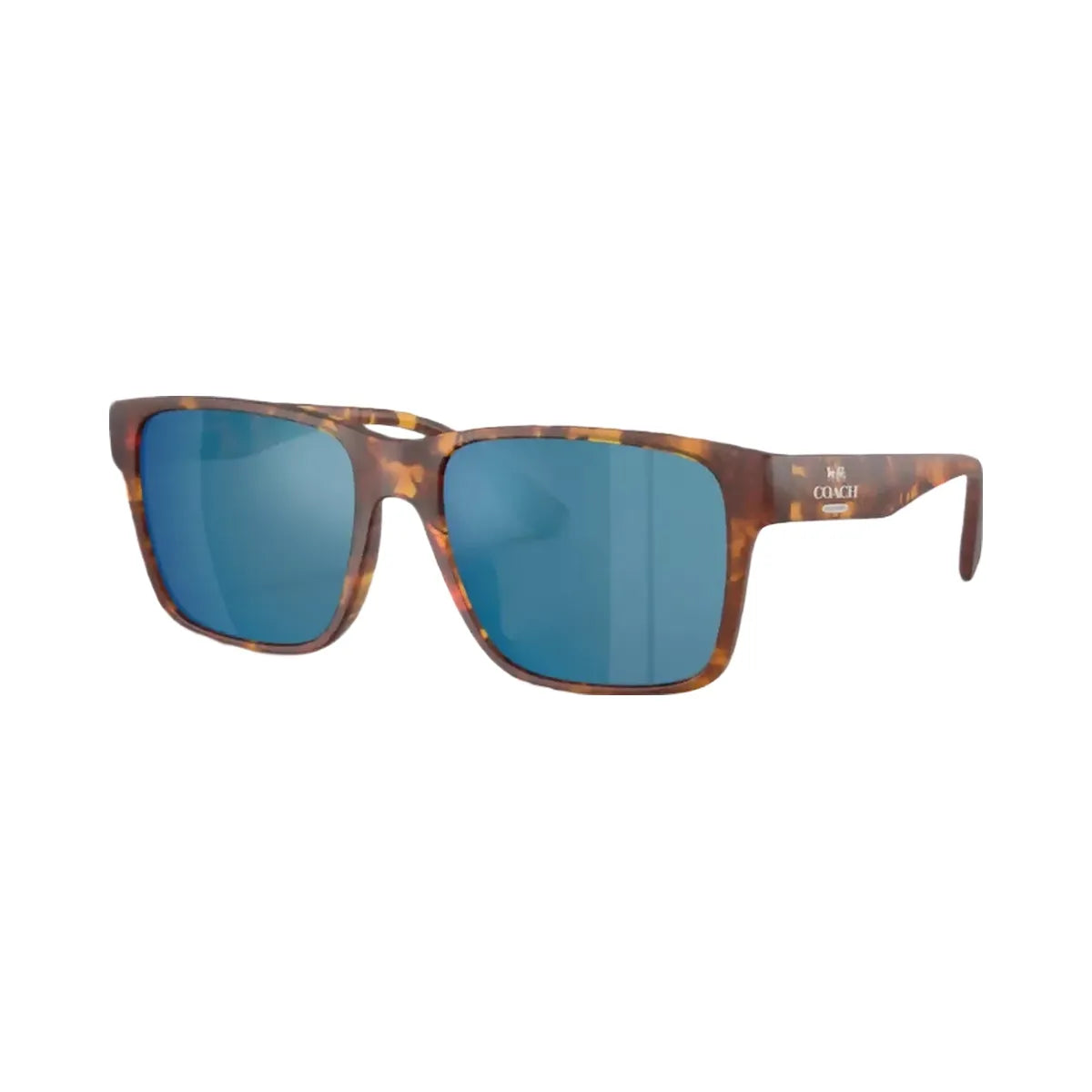 Coach Square Sunglasses in Tortoise