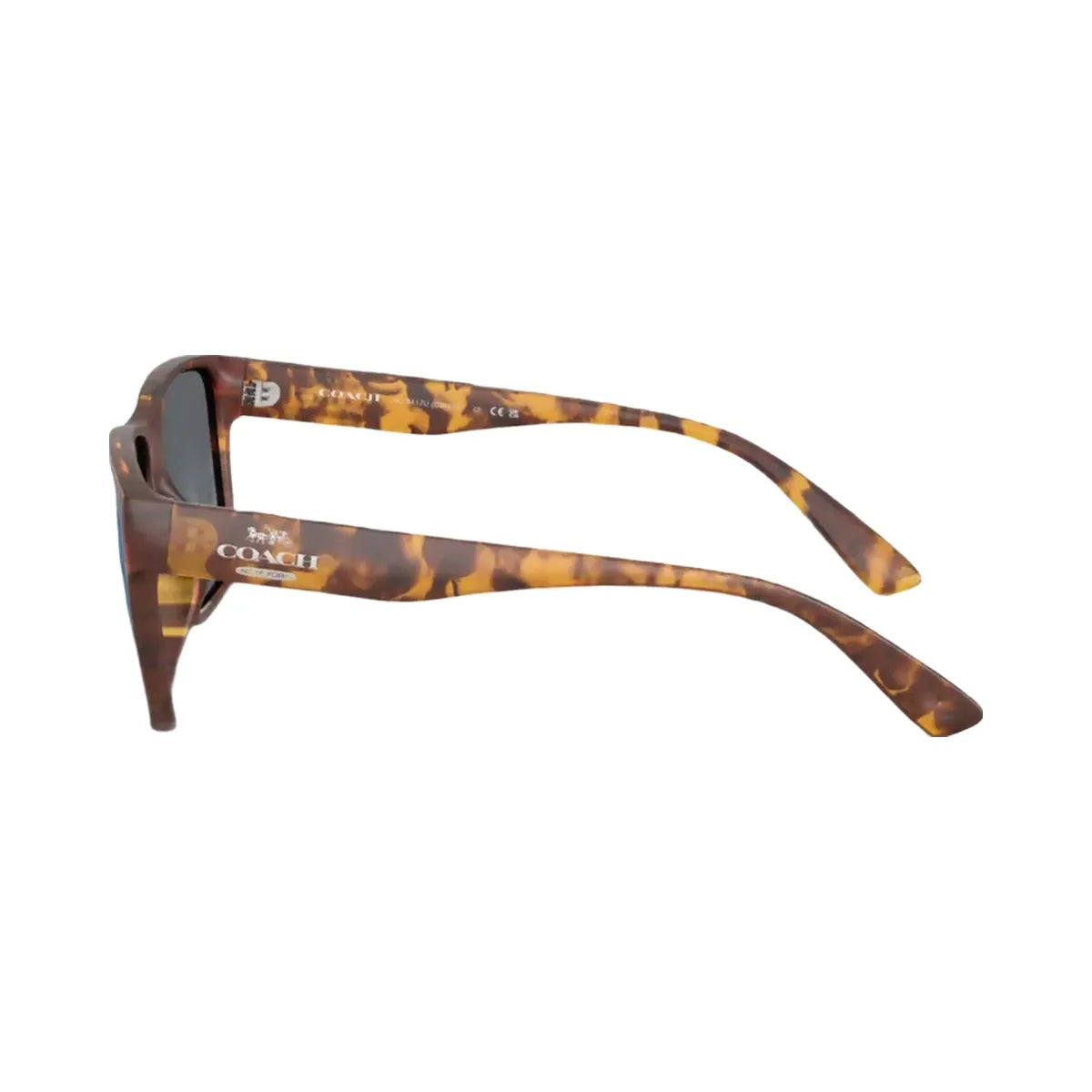 Coach Square Sunglasses in Tortoise