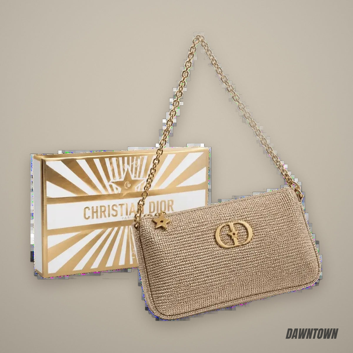 Dior VIP Clutch Shoulder Bag