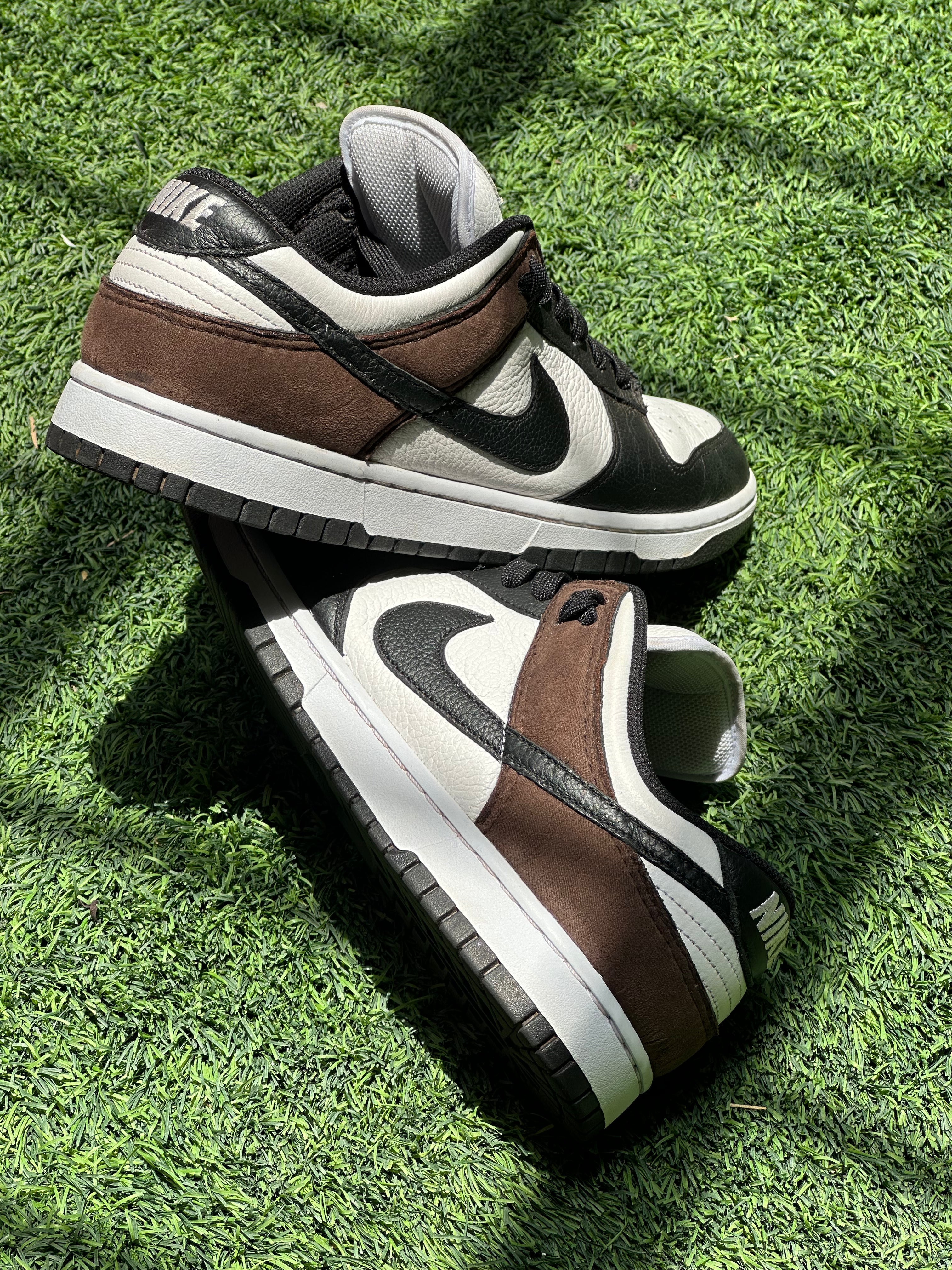 Black, brown, and white Nike Dunk Low sneakers on green grass in sunlight