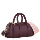 Longchamp Daylong S Handbag Pomegranate