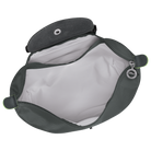 Longchamp Le Pliage Green M Backpack Graphite