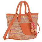 Longchamp Le Pliage Collection Basket bag Rainbow