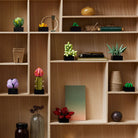 Lego Succulents
