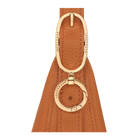 Longchamp Le Foulonné S Crossbody bag Amber