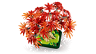 Lego Japanese Red Maple Bonsai Tree