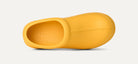 Ugg Tasman X Summer Wheat