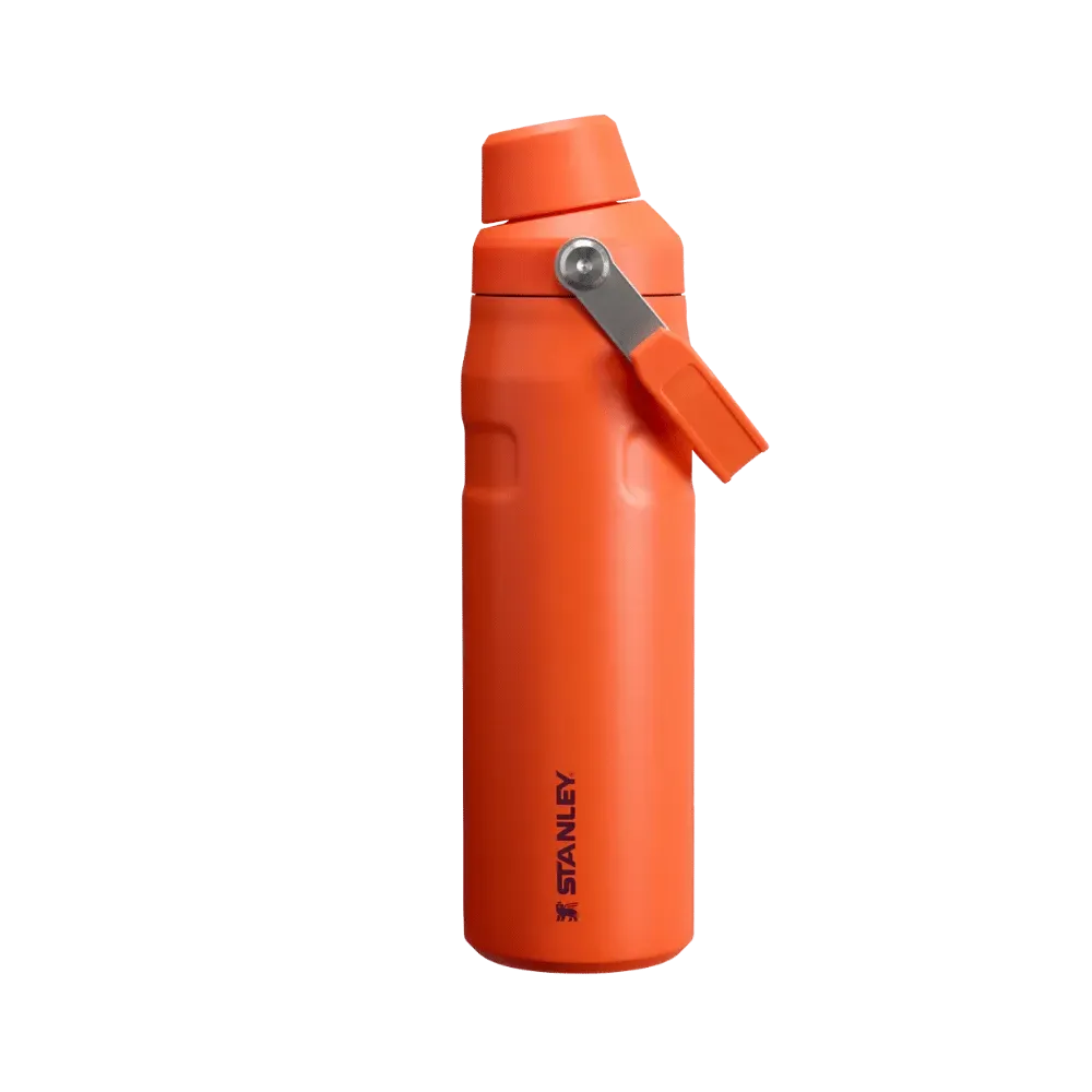 Stanley IceFlow Bottle with Fast Flow Lid (24 OZ) Tigerlily Plum