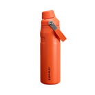Stanley IceFlow Bottle with Fast Flow Lid (24 OZ) Tigerlily Plum
