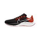 Air Zoom Pegasus 41 'Black Fire Red'