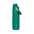 Stanley IceFlow Bottle with Fast Flow Lid (24 OZ) Alpine