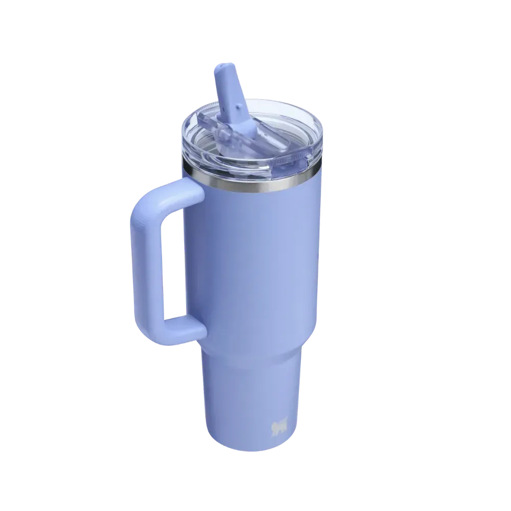 Stanley The Quencher ProTour Flip Straw Tumbler Hydrangea