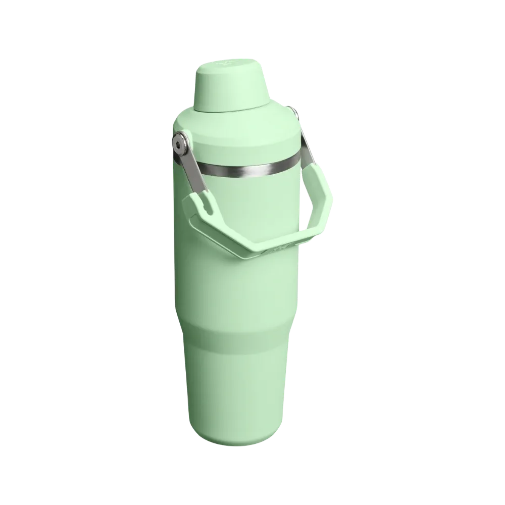 Stanley IceFlow Tumbler with Fast Flow Lid (30OZ) Pistachio