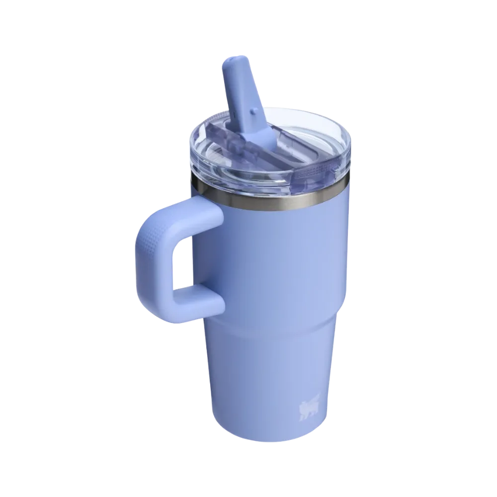 Stanley Quencher ProTour Flip Straw Tumbler 'Hydrangea'