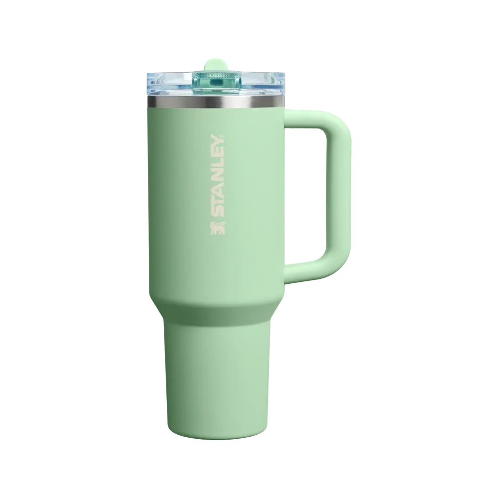 Stanley Quencher Protour Flip Straw Tumbler Pistachio