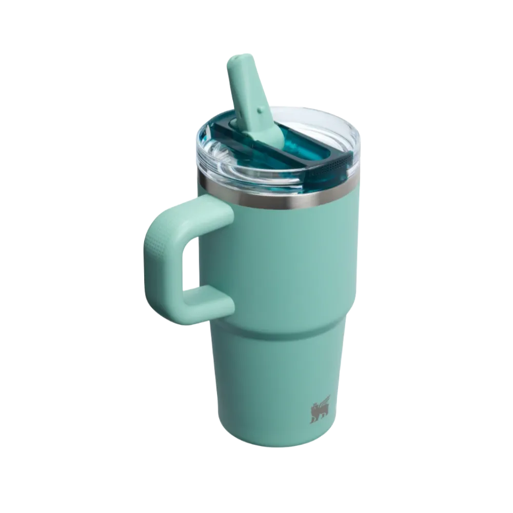 Stanley Quencher ProTour Flip Straw Tumbler 20 OZ Spring Green
