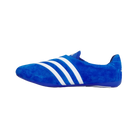 Adidas PW Vario Flat Earther Blue