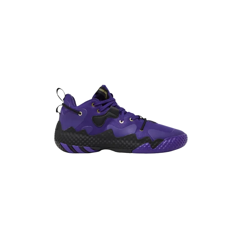 Adidas Harden Vol. 6 'Team College Purple'