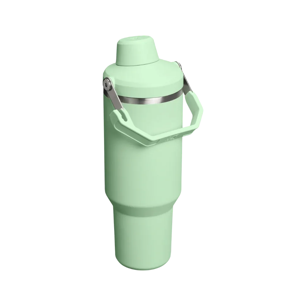 Stanley IceFlow Tumbler with Fast Flow Lid (40OZ) Pistachio